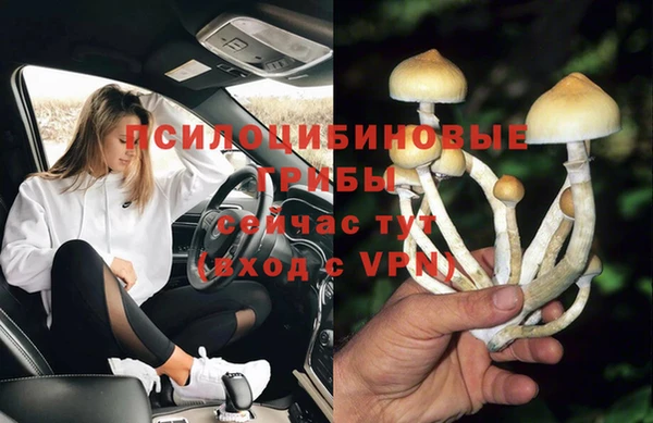 спиды Алексеевка